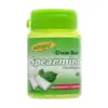 Жувальна гумка з м’ятою БЕЗ ЦУКРУ 46 штук Spearmint Gum Box Woogie 64.4 м Австрія