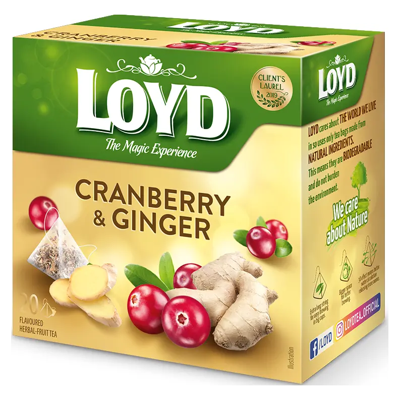 Чай із журавлиною й імбиром Loyd Cranberry&Ginger 20 пірамідок 40 г Польща