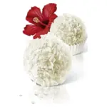 Цукерки Raffaello Confetteria Ferrero (29штук) 300 г Німеччина