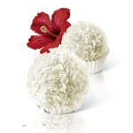 Цукерки Raffaello Ferrero (14штук) 150 г Німеччина