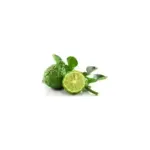 Чай чорний листовий Bastek Earl Grey (Сідою Граф) з бергамотом Польща 125г