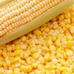 Кукурудза цукрова консервована З бамбукової грядки 510 г Україна