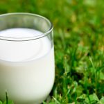 Молоко БЕЗ ЛАКТОЗЫ Lowicz Mleko Bez Laktozy жир. 1,5% 1 л Польща