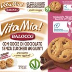 Печиво без додавання цукру, без молока, яєць, пальмової олії Vita Mia Balocco (6*48г) 290г Італія