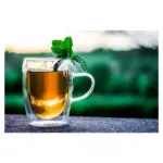 Чай Еко чорний Cornwall Ceylon-Assam (50 шт., 1,75 г) 87,5 г Німеччина