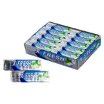 Жувальна гумка м’ята X-Fresh Chewing Gum Mint Flavour (10 подушечок) 14 г Туреччина
