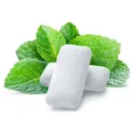 Жувальна гумка м’ята X-Fresh Chewing Gum Mint Flavour (10 подушечок) 14 г Туреччина