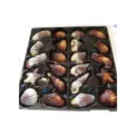 Цукерки праліне Морські мушлі J.D.Gross Sea Shells 250г Німеччина