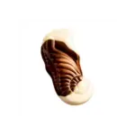 Цукерки Асорті з шоколадною та горіховою начинками VOBRO FRUTTI DI MARE 1кг Польща