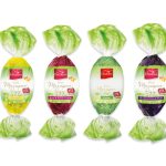 Яйце Марципан із лісовим горіхом у чорному шоколаді Favorina Marzipan Egg Praline 100 г Німеччина