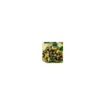 Квасоля чорна Bonduelle (2х100г) 200г Франція