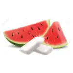 Жувальна гумка кавун X-Fresh Chewing Gum Watermelon Flavour (10 подушечок) 14г Туреччина