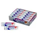 Жувальна гумка полуниця X-Fresh Chewing Gum Strawberry Flavour (10 подушечок) 14г Туреччина