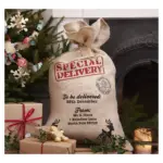 Мішок Санти з подарунками червоний Special Delivery (9 штук) Італія
