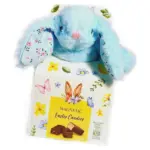 Подарунковий набір Іграшка Зайчик + Асорті щіколадних цукерок 90 г Magnetic Easter Candies Польща