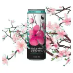 Холодний чорний чай з женьшенем і медом ArіZona Black&White Iced Tea With Ginseng & Honey 650мл США